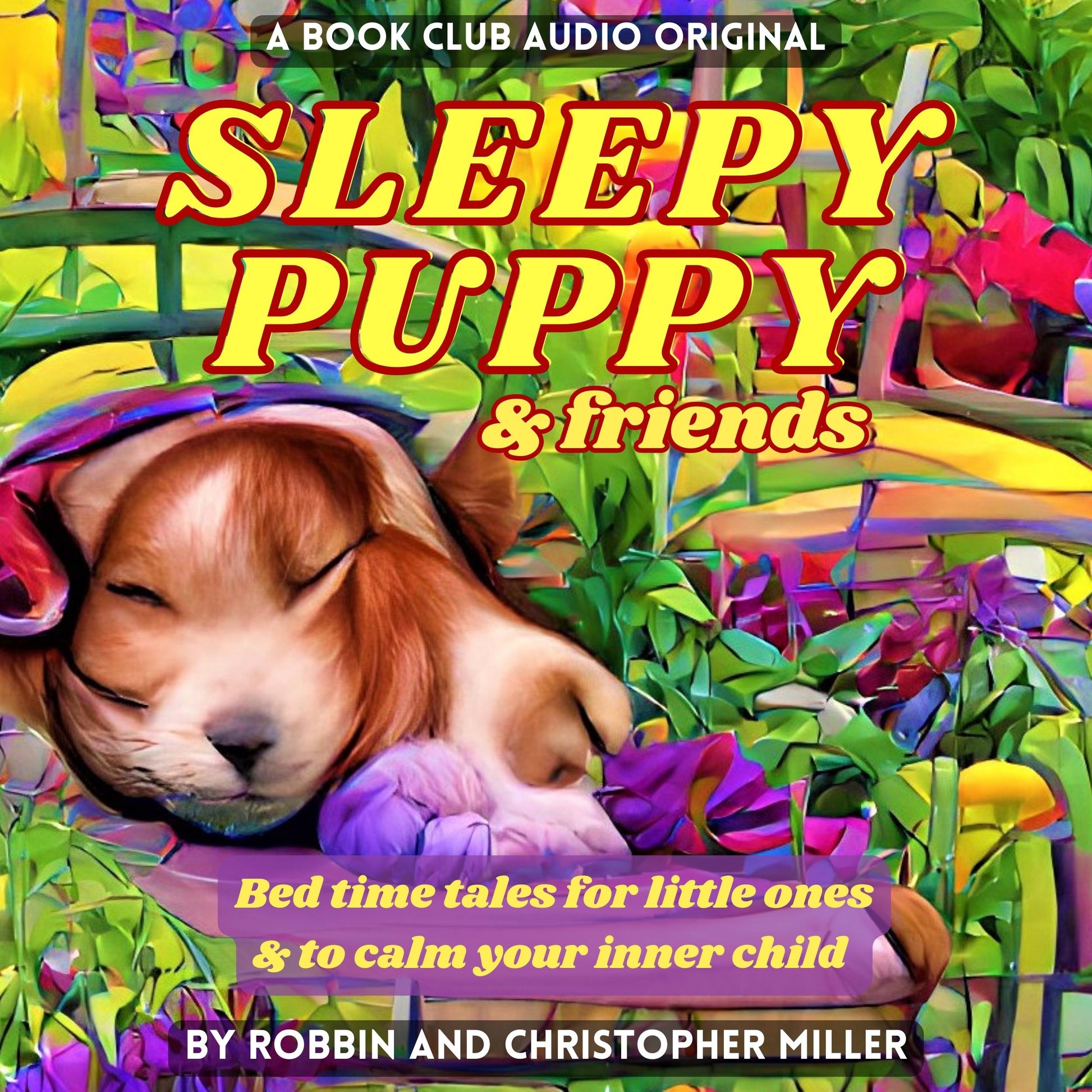 Sleepy Puppy Book Cover